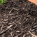 bark_in_rexburg